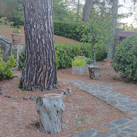 Villa Santa Margherita - La Suvera Ponte A Bozzone Екстер'єр фото