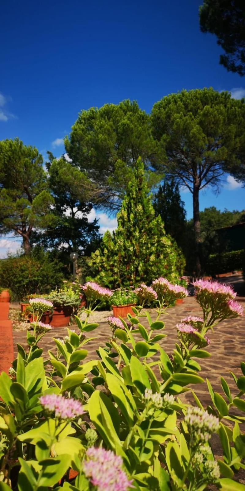 Villa Santa Margherita - La Suvera Ponte A Bozzone Екстер'єр фото