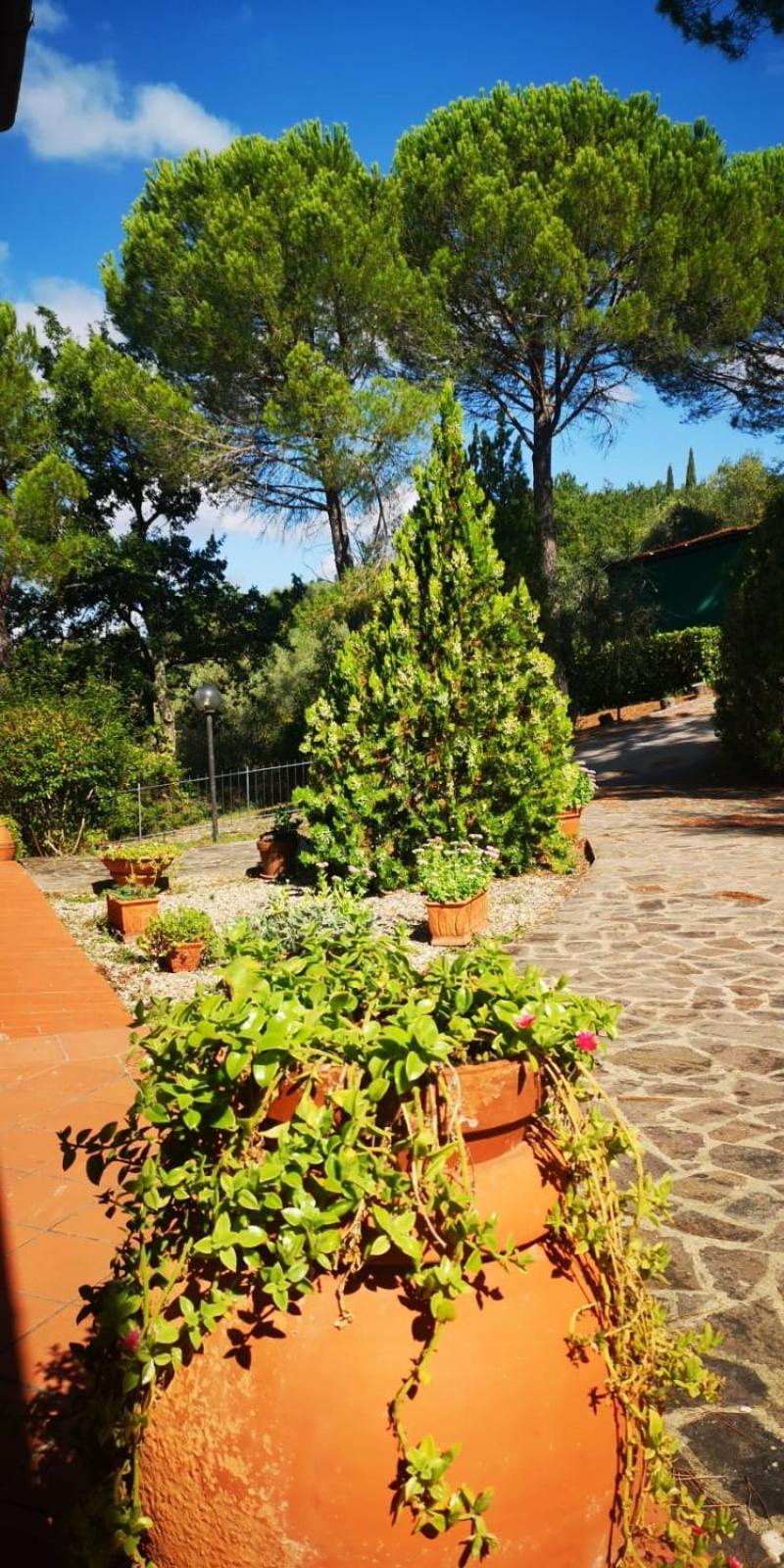 Villa Santa Margherita - La Suvera Ponte A Bozzone Екстер'єр фото