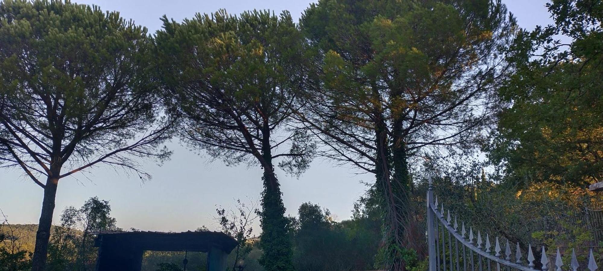 Villa Santa Margherita - La Suvera Ponte A Bozzone Екстер'єр фото